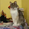 Отзыв от Зинаида Винокурова